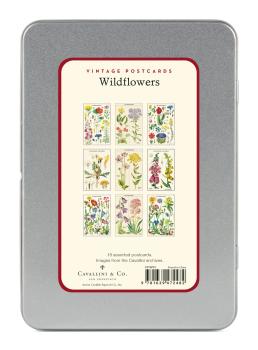 Wildblumen Vintage Postkartenset von Cavallini